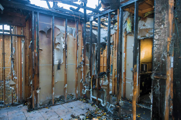 Professional Fire Damage Assessment technician working in Deerfield, MI